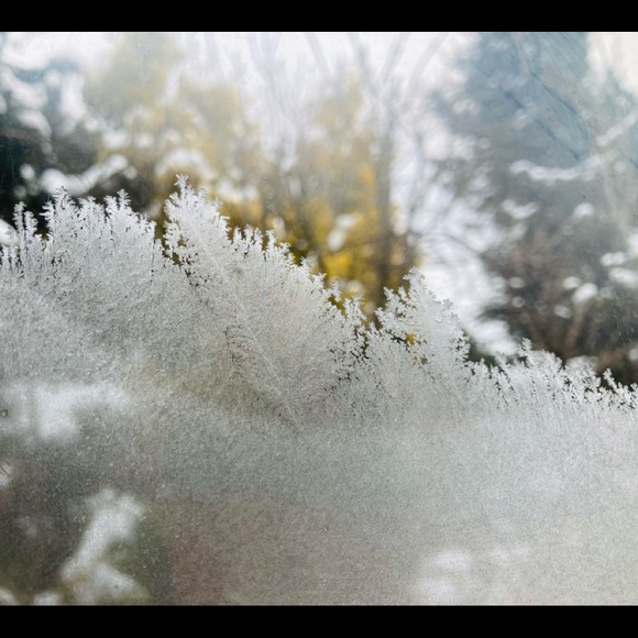 Meet your Posher - Picture 2 of 5